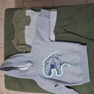 Gray Dinosaur Hoodie and Green Pants Set